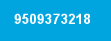 9509373218