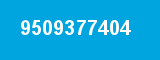 9509377404 9509377404
