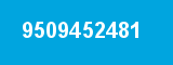 9509452481