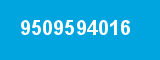 9509594016