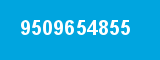 9509654855