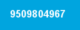 9509804967