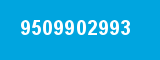 9509902993 9509902993