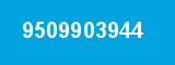 9509903944 9509903944