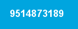 9514873189