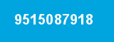 9515087918