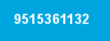 9515361132