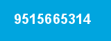 9515665314