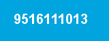 9516111013 9516111013