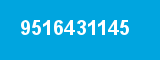 9516431145 9516431145