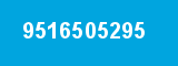 9516505295