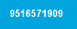 9516571909