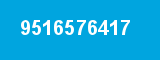 9516576417