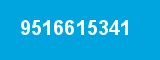 9516615341 9516615341