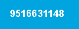 9516631148