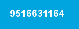 9516631164