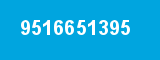 9516651395