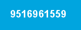 9516961559