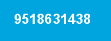 9518631438