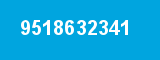 9518632341