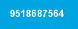 9518687564