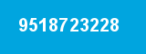 9518723228