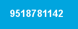 9518781142