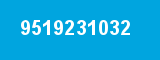 9519231032