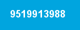 9519913988