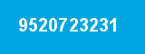 9520723231