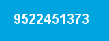 9522451373