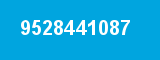 9528441087