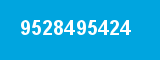9528495424
