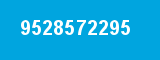 9528572295 9528572295