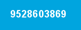9528603869 9528603869