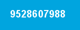 9528607988 9528607988