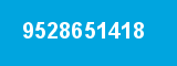 9528651418