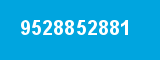 9528852881 9528852881