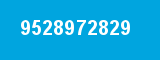 9528972829