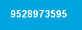 9528973595