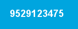 9529123475 9529123475