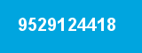 9529124418