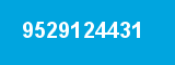 9529124431 9529124431