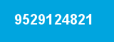 9529124821 9529124821