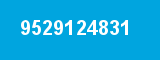 9529124831 9529124831