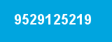 9529125219