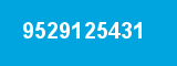 9529125431