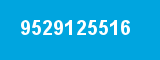 9529125516