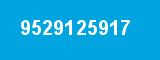 9529125917
