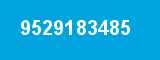 9529183485
